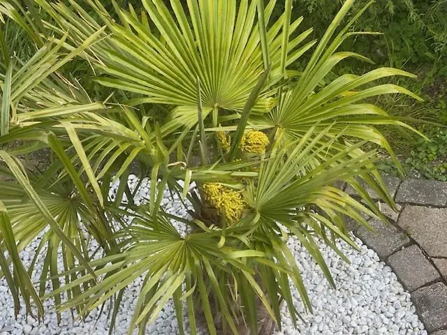 Premium Apartment Mit Eigener Sauna & Pool Am Moehnesee